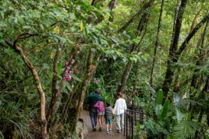 Koora: Where Regenerative Hospitality Flourishes